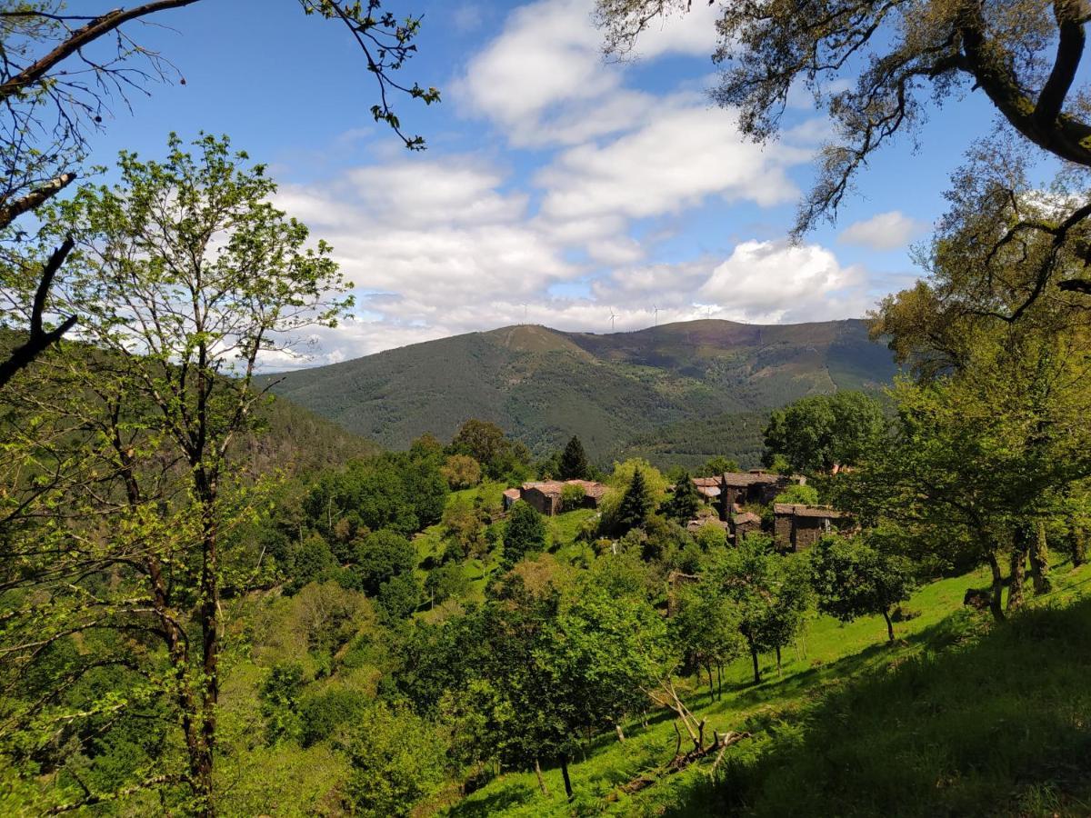 Res Do Chao Da Montanha Magica Lejlighed Lousã Eksteriør billede